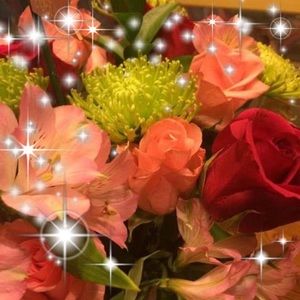 Meet your Posher, Mary